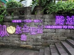 -重庆十八梯传统风貌区