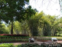 -晓港公园