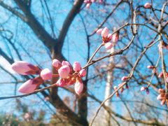 -森日职人手作(万科店)