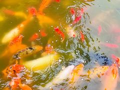 -呈贡滇池生态湿地公园