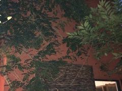 iphone_upload_pic-嘉善老市