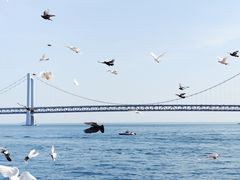 -星海广场