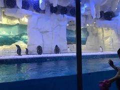 -华夏文旅海洋公园