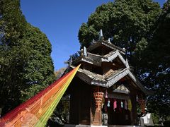 -云南民族村