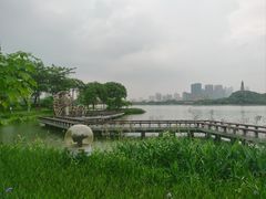 -顺峰山公园