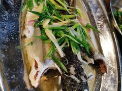 油盐蒸皖鱼-农汤老店(顺联公园里店)