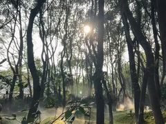 -长兴太湖图影湿地文化园