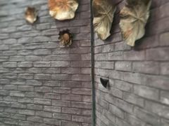 -鼎汇丰重庆老火锅(鞍顺园店)