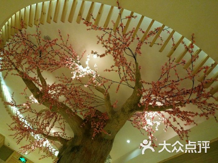 汤沐邑温泉会馆-图片-沈阳休闲娱乐-大众点评网