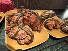 -牛New寿喜烧(中山公园龙之梦店)