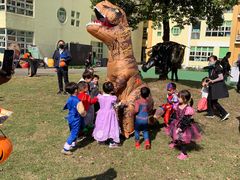 -上海闵行区阶梯吉美幼儿园