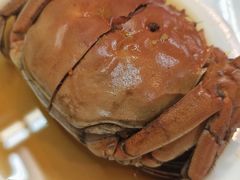 -谢记上海大排档(长寿路店)