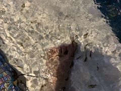 -水晶之星洗浴温泉汗蒸