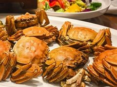 -鸽舞笙平金牌烧鸽子·融合菜(鲁谷店)