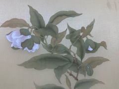 -八哥美术·成人美术画室(总校区)