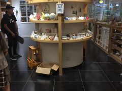 -艺彩阳光手工坊(大连恒隆广场店)