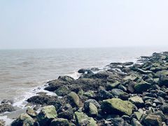 -东疆建设开发纪念公园