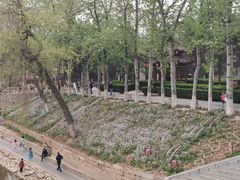 -赵州桥景区