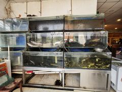 水产区-白洋淀灶台鱼(名佳花园店)