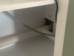 -大宅设计设计店铺(浦东店)