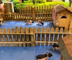 -萌宠亲子动物乐园(槐房万达店)