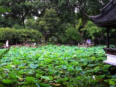 -上海醉白池公园