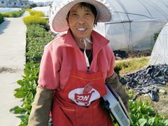 -小鱼草莓采摘园农家乐·小鱼餐厅