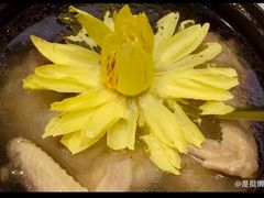 圆苑特色土鸡汤-圆苑(上海广场店)
