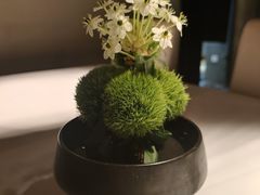 -月芽·自由餐厅·西溪湿地餐厅