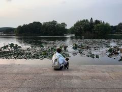 -新江湾城公园