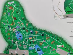 -合肥野生动物园