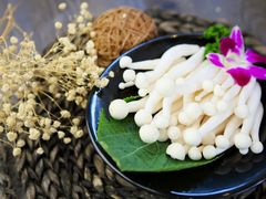 -手选潮汕鲜活牛肉火锅(二七广场店)