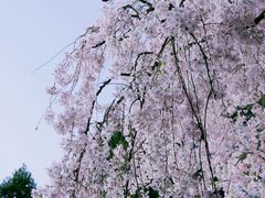 -西安青龙寺遗址景区