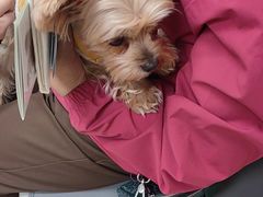 -美联众合动物医院·24h转诊中心