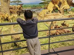 -国家自然博物馆