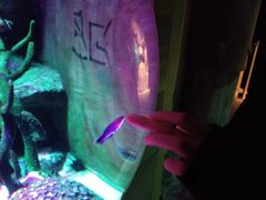 -沈阳海洋探索中心