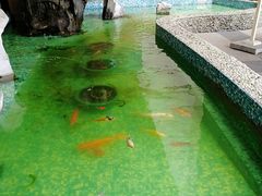 -巴黎春天(浦建店)