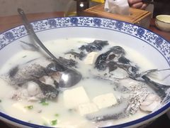 -全乐鱼馆·淳牌有机鱼直营店