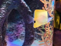 -沈阳海洋探索中心