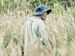 -海南热带野生动植物园