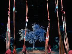 -上海马戏城