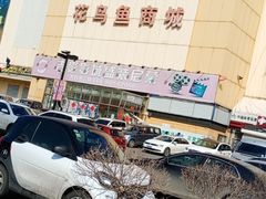 -大自然花鸟鱼虫市场