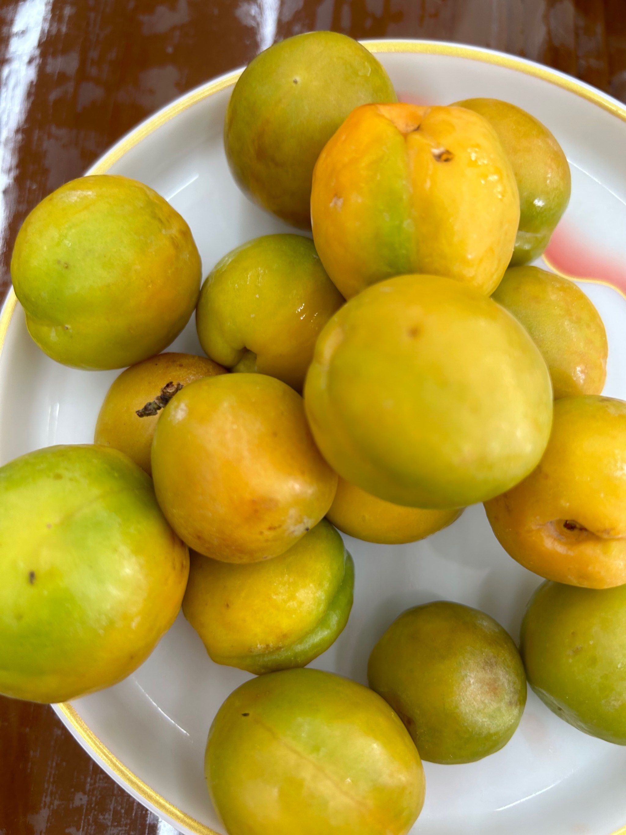 不枉此行,喝到了张掖有名的杏皮茶