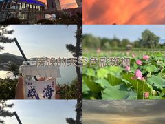-威高广场