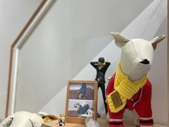 -佐罗家宠物馆·猫文化馆(紫霞路店)