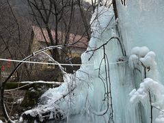 -陕西省红河谷森林公园