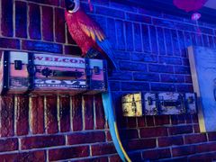 -卡佐主题KTV(领世郡店)