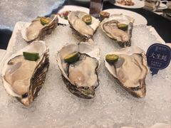-海月轩海鲜豆捞(紫金塔店)