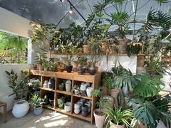 -自由生长植物工作室(深港花卉中心店)