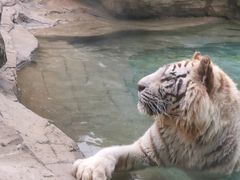 -杭州野生动物世界